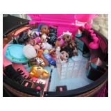 LOL Surprise case full of dolls and...