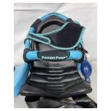 MSRP $700 Posture Pump System with Disc Hydrator - Lower Back Pain Relief, Lumbar Back Stretcher - Great Condition!