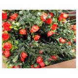 Artificial Plant...
