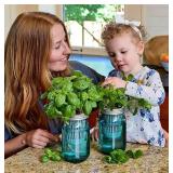 NEW Modern Sprout