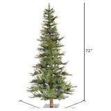 Vickerman 6