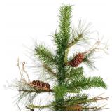Vickerman 6