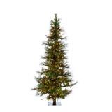 Vickerman A807561 6
