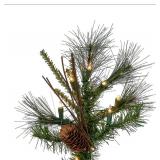 Vickerman A807561 6