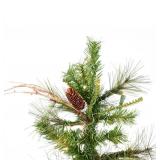 Vickerman A807551 5