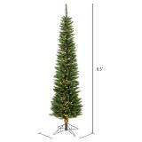 Vickerman 6.5