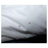 Set of Five King Size Down Pillows – Casaluna, Alpswan & Ralph Lauren