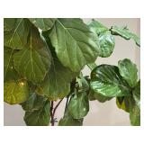 FLR - Large Fiddle Leaf Fig Plant in Textured Pot
