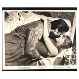 Collection of 5 Elvis Presley Movie Lobby Cards and Stills Collection of 5 Elvis Presley Movie Lobby Cards and Stills