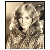 Knots Landing Set of 7 Vintage Hollywood Headshot and Portrait Photographs Knots Landing Set of 7 Vintage Hollywood Headshot and Portrait Photographs