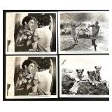 Collection of Vintage Movie and TV Publicity Photos including Across 110th Street and PBS Masterpiece Theatre Collection of Vintage Movie and TV Publicity Photos including Across 110th Street and PBS Masterpiece Theatre