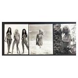 Collection of 21 Vintage Hollywood Actress Publicity Photos Featuring Glynis Johns, Haley Mills, Ginger Rogers, Julie Christie and more Collection of 21 Vintage Hollywood Actress Publicity Photos Featuring Glynis Johns, Haley Mills, Ginger Rogers, Julie Christie and more