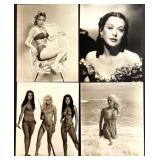 Collection of 20 Classic Hollywood Starlet Black and White Photographs Featuring Hedy Lamarr, Victoria Vetri, Magda Konopka, Imogen Hassall, Dawn Adams and more Collection of 20 Classic Hollywood Starlet Black and White Photographs Featuring Hedy Lamarr, Victoria Vetri, Magda Konopka, Imogen Hassall, Dawn Adams and more