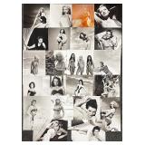 Collection of 22 Classic Hollywood Pin-Up Photographs Featuring Julie Newmar, Donna Mills, Lola Albringet, Hazel Court and more Collection of 22 Classic Hollywood Pin-Up Photographs Featuring Julie Newmar, Donna Mills, Lola Albringet, Hazel Court and more