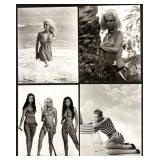 Collection of 22 Classic Hollywood Pin-Up Photographs Featuring Julie Newmar, Donna Mills, Lola Albringet, Hazel Court and more Collection of 22 Classic Hollywood Pin-Up Photographs Featuring Julie Newmar, Donna Mills, Lola Albringet, Hazel Court and more
