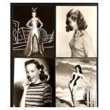 Collection of 20 Vintage Glamour and Hollywood Actress Photos Featuring Anne Francis, Claudia Cardinale, Nina Foch, Anouk Aimee and more Collection of 20 Vintage Glamour and Hollywood Actress Photos Featuring Anne Francis, Claudia Cardinale, Nina Foch, Anouk Aimee and more
