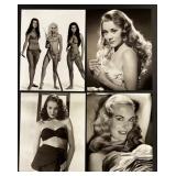 Collection of 20 Vintage Glamour and Hollywood Actress Photos Featuring Anne Francis, Claudia Cardinale, Nina Foch, Anouk Aimee and more Collection of 20 Vintage Glamour and Hollywood Actress Photos Featuring Anne Francis, Claudia Cardinale, Nina Foch, Anouk Aimee and more