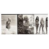 Collection of 12 Classic TV and Movie Celebrity Photographs - Love Boat, Knots Landing, When Dinosaurs Ruled The World and Starsky and Hutch Collection of 12 Classic TV and Movie Celebrity Photographs - Love Boat, Knots Landing, When Dinosaurs Ruled The World and Starsky and Hutch