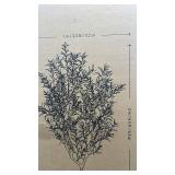Lifelike 6.5 ft Artificial Olive Tree with Planter