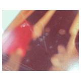 Framed Photograph of a Girl Holding a Tomato and Onion by Minnesota Native Photojournailst Paul Chesley - Approx. 20 1/2" x 26 1/2"