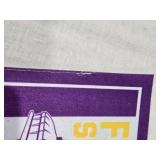 Minnesota Vikings Pennants Including Final Season Mall of America Field Pennants