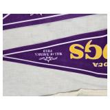 Minnesota Vikings Pennants Including Final Season Mall of America Field Pennants
