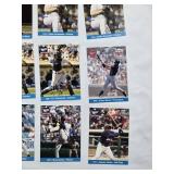 Lot of Minnesota Twins 2002 Central Division Champions Baseball Cards Featuring Torii Hunter