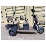 2025 SDLANCH Electric Tricycle Mini Golf Cart (IRGC40) - Purple  **relisted