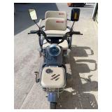 2025 SDLANCH Electric Tricycle Mini Golf Cart (IRGC40) - Purple  **relisted