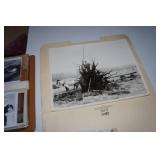 Antique Photographs Antique Photographs