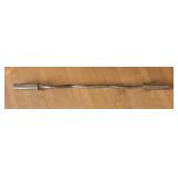 LR - EZ Curl Barbell Weight Bar