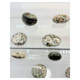 Ocean Jasper Palmstone Lot of 11: 324gm/11.4oz.