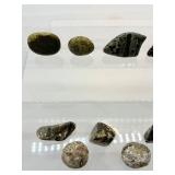 Ocean Jasper Polished Tumbles Lot if 13: 306gm/10.7oz.