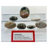 Ocean Jasper Palmstone Lot of o7:1/2 kilo/1.15 lb.