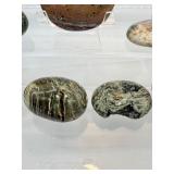 Ocean Jasper Palmstone Lot of o7:1/2 kilo/1.15 lb.