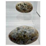 Ocean Jasper Palmstone Lot of o7:1/2 kilo/1.15 lb.