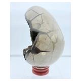 Septarian XL Geode Nodule Egg 2.6 kilo/5 lb. 10 oz.
