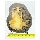 Septarian Nodule Plate polished on both sides, stand included: 628 gm./1 lb.6 oz.