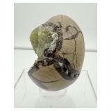 Septarian large egg-shaped geode nodule 779 gm./1 lb. 12 oz.
