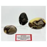Septarian Mics. Lot of 3: palmstone 135 gm./4.8 oz., palmstone 117 gm./4.2 oz., 1 half egg geode 148 gm./ 5.2 oz. Total Lot Weight: 401 gm./14.1 oz.