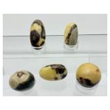 Septarian Palmstone Lot of 5: 261 gm./8.6 oz.