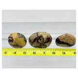 Septarian Palmstones Lot of 3: 261 gm/9.2oz.