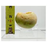 Green Opal Druzy Palmstone: 101 gm./11.7oz.