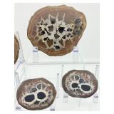 Septarian Nodules: 3 pair of small Septarian nodules 261 gm./9.2 oz.