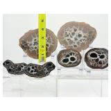 Septarian Nodules: 3 pair of small Septarian nodules 261 gm./9.2 oz.