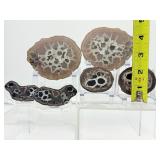 Septarian Nodules: 3 pair of small Septarian nodules 261 gm./9.2 oz.