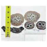 Septarian Nodules: 3 pair of small Septarian nodules 261 gm./9.2 oz.