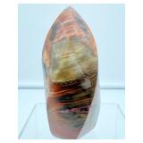 Petrified wood Flame 782 gm./1 lb. 12 oz.