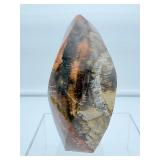Petrified wood Flame 782 gm./1 lb. 12 oz.