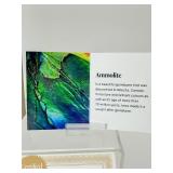 Ammolite Gem Specimen from the KORITE Ammolite Mine, Alberta, Canada 10 gm, /.4 oz.